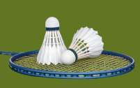 Przejdź do sekcji badminton